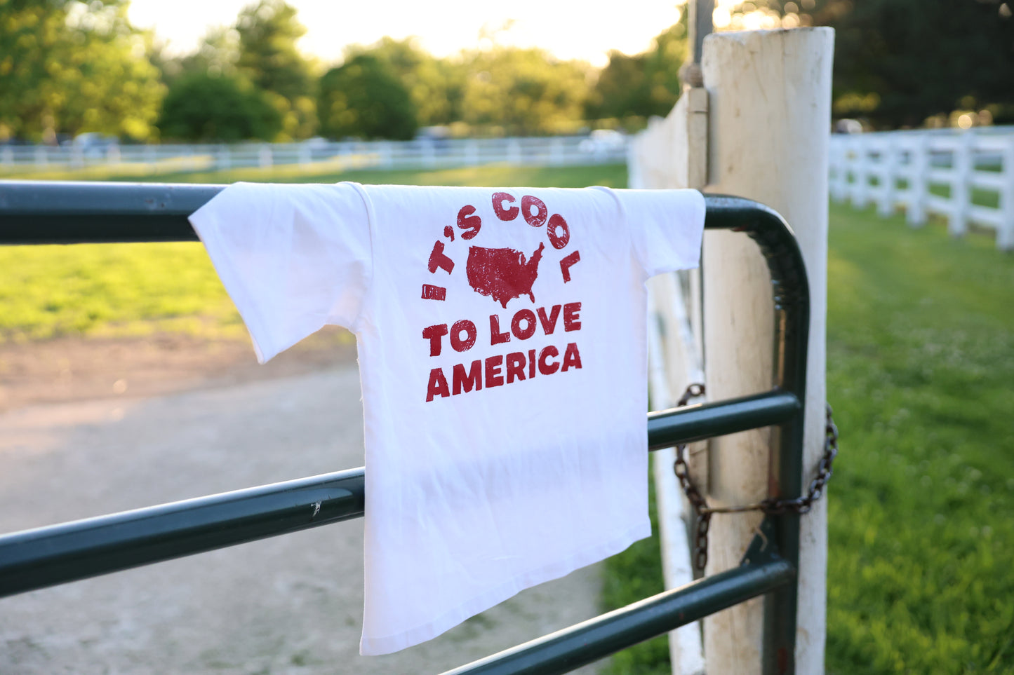 THE LITTLE PATRIOT TEE | YOUTH