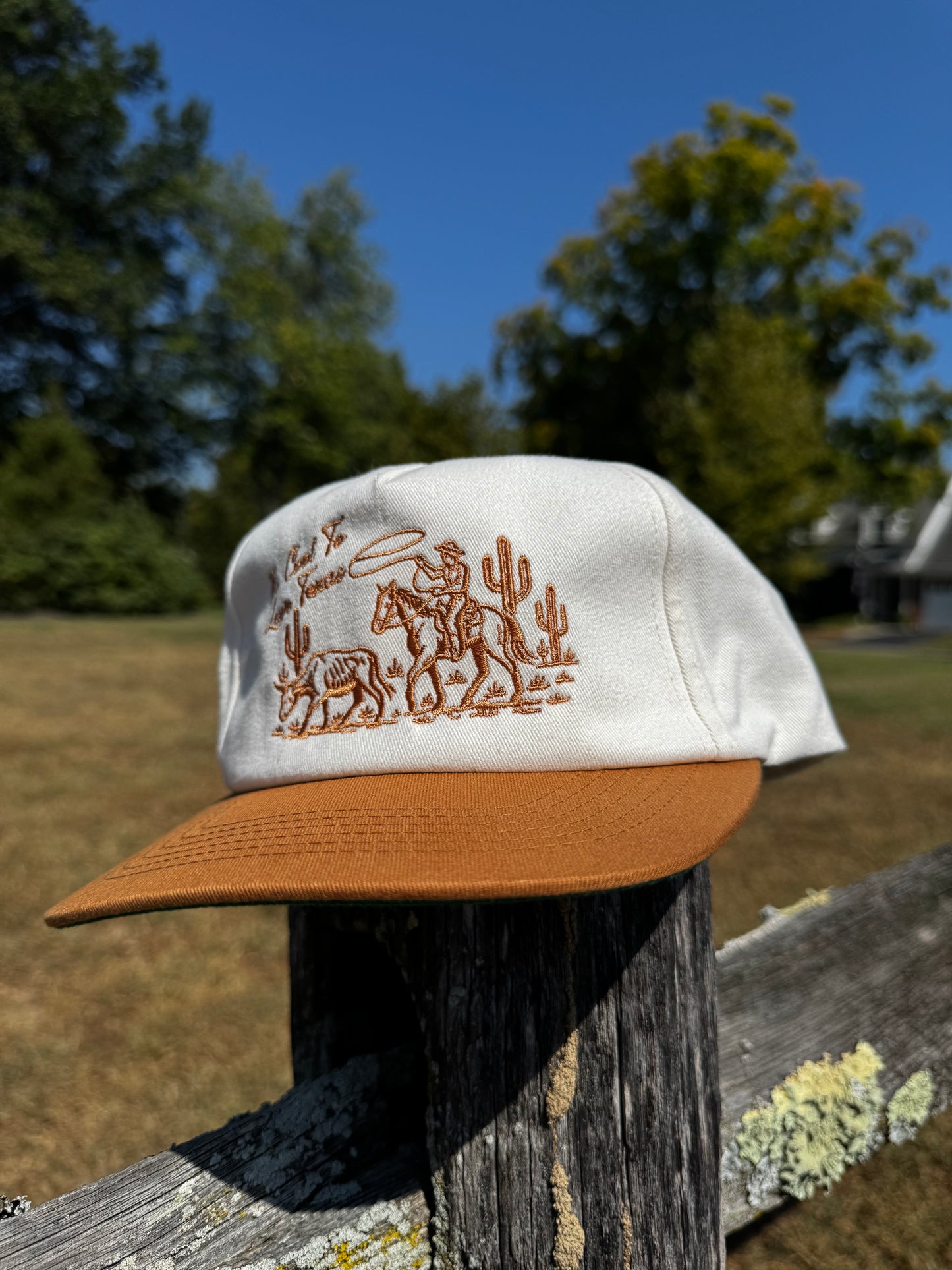 Original It's Cool to Love Texas Hat