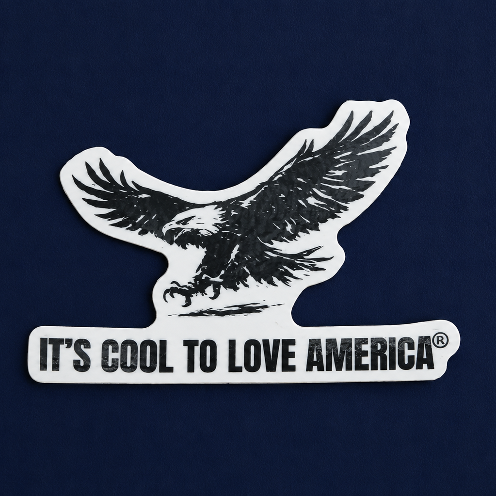 Sticker with an eagle design and text 'It's Cool to Love America' on a dark blue background