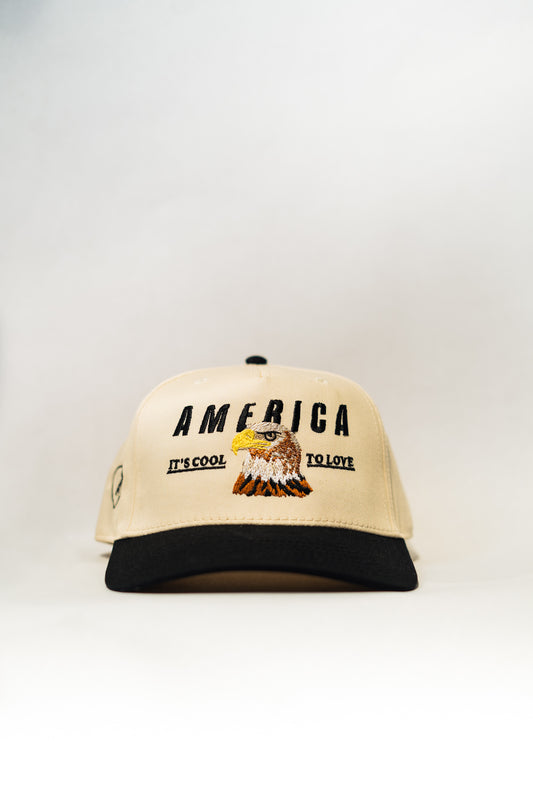 Free Bird (Eagle) Hat | It’s Cool To Love America