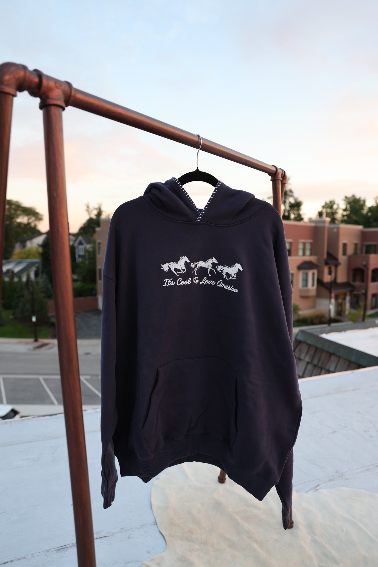 Horses Hoodie