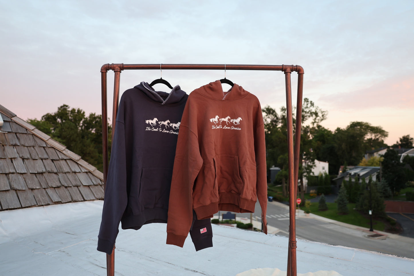 Horses Hoodie