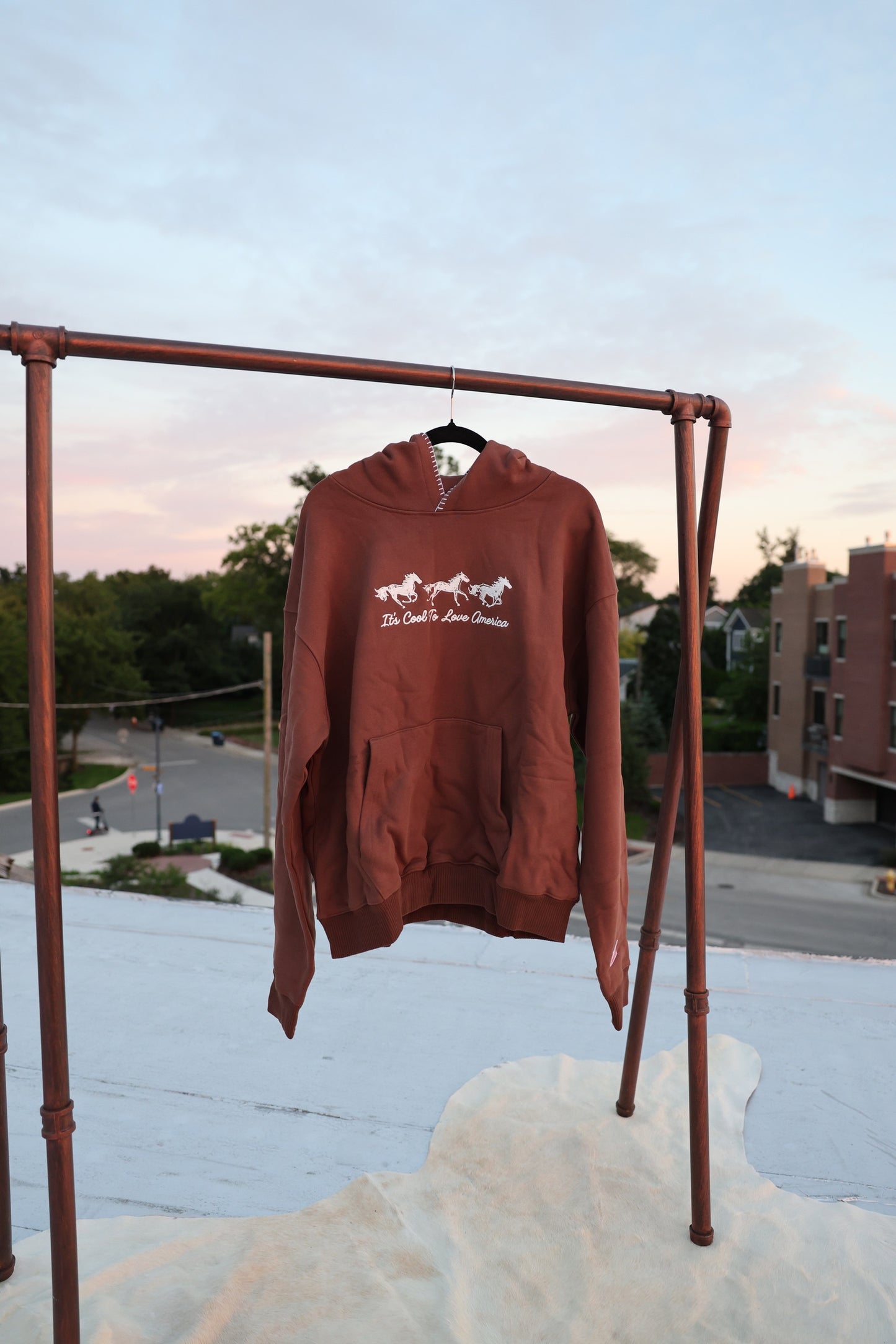 Horses Hoodie