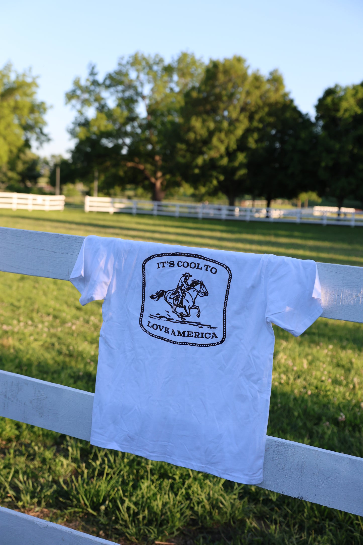 PATRIOTIC COWBOY TEE