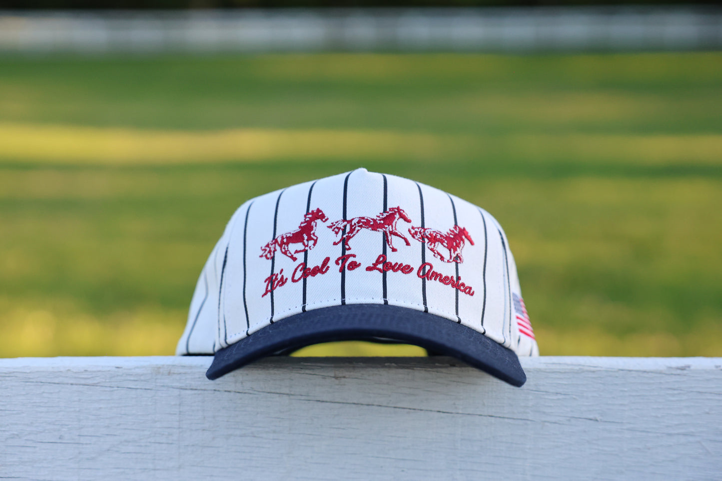 AMERICAN HORSES CAP