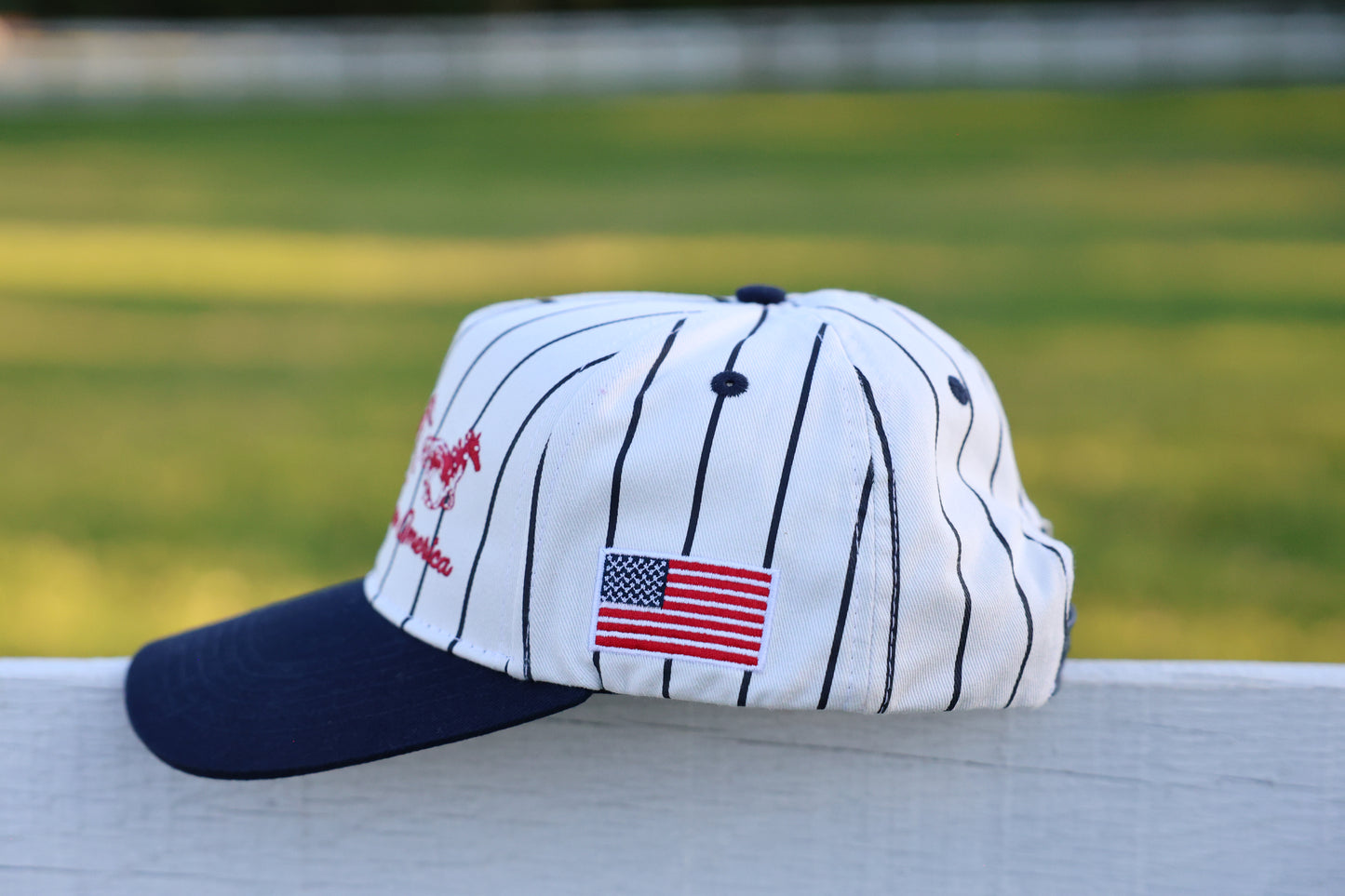 AMERICAN HORSES CAP