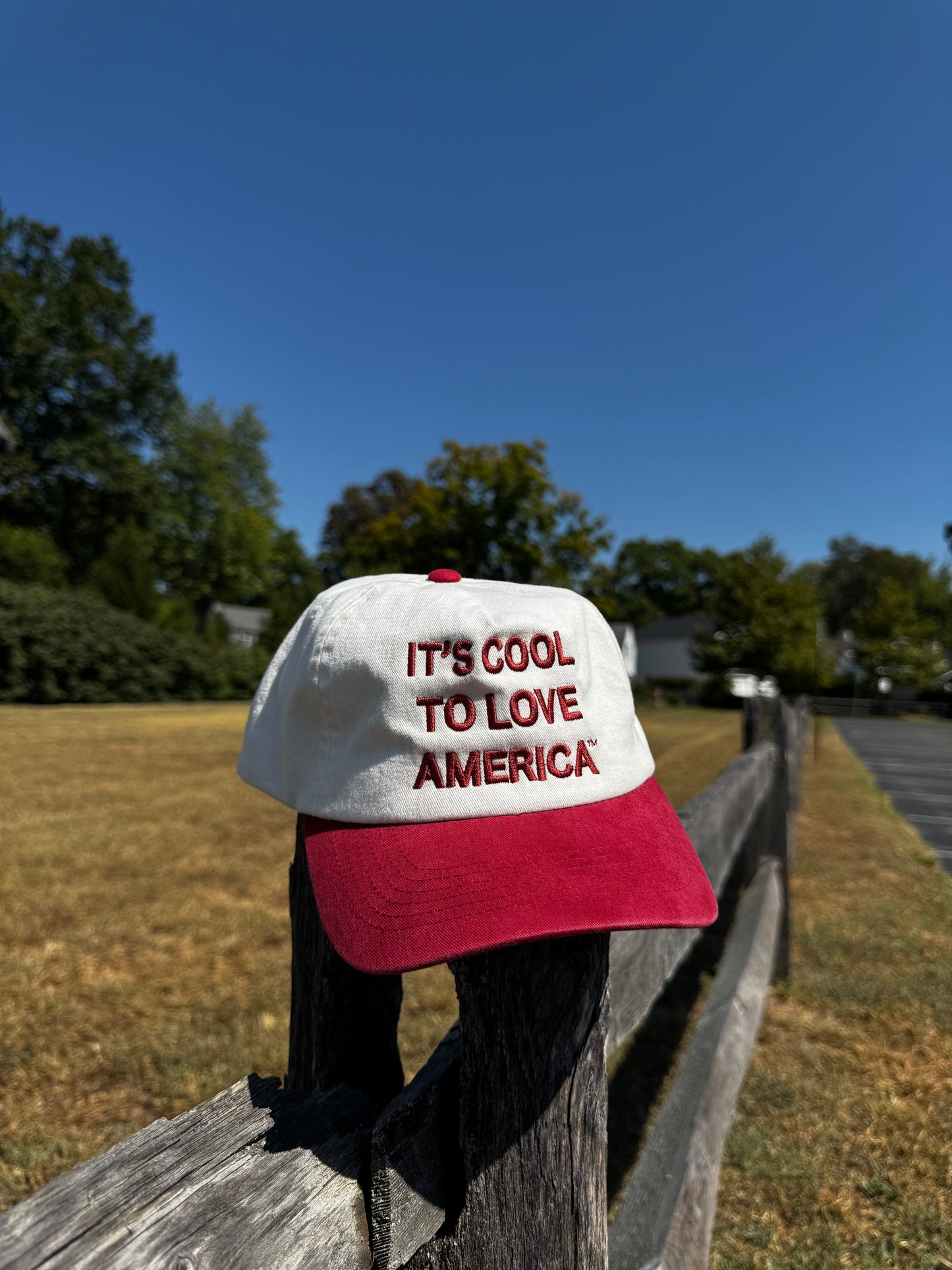 Original Hat (Lower-Profile)| It’s Cool To Love America™