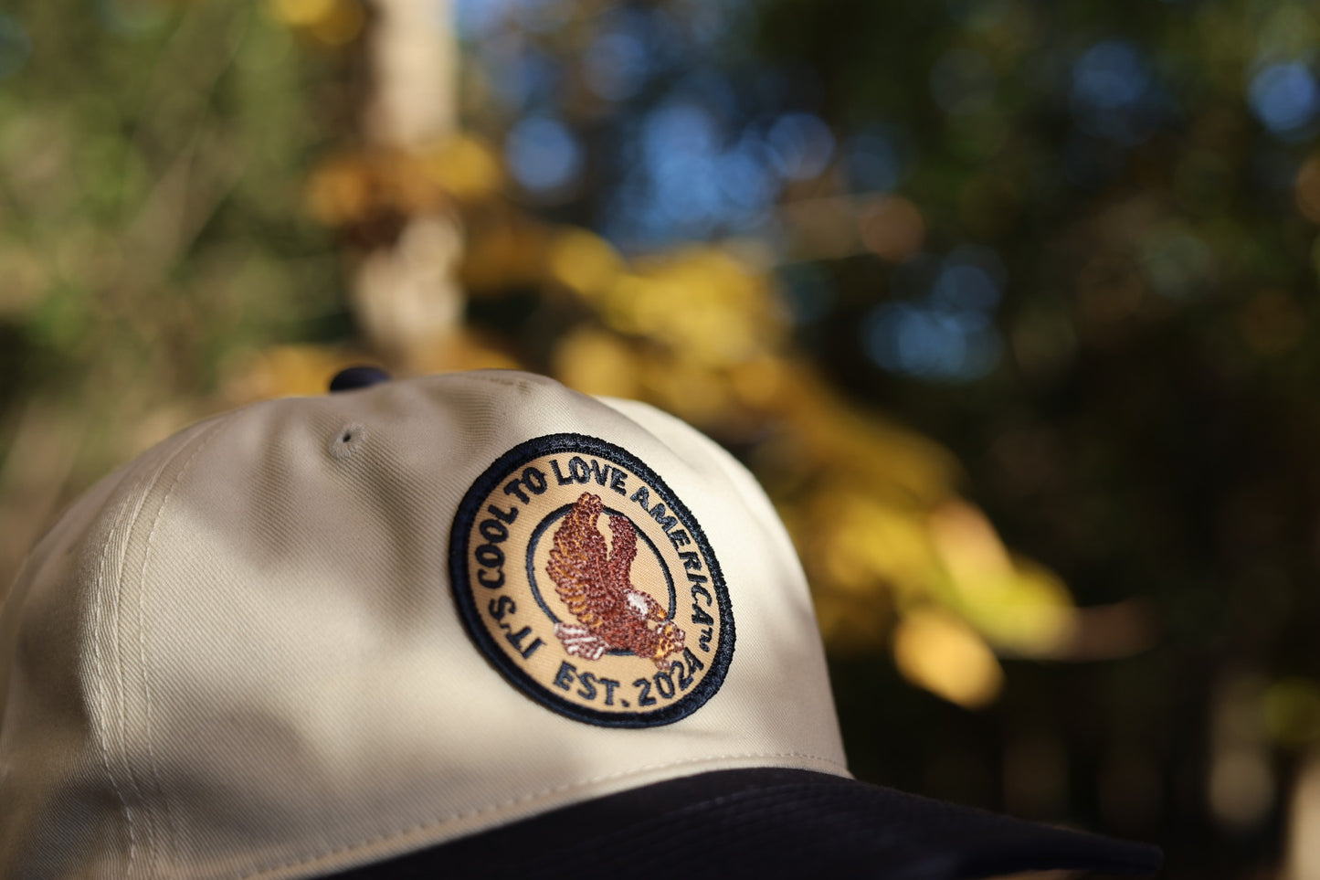Eagle Patch Hat | It’s Cool To Love America®